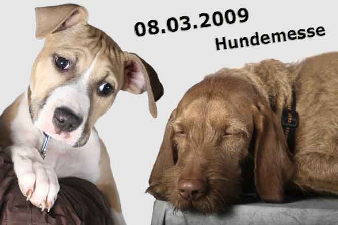 Hundemesse Eschweiler-Dürwiß, weitere Bilder - hier klicken